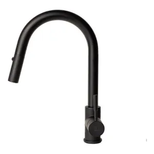 ZLINE Arthur Kitchen Faucet, ATH-KF-MB